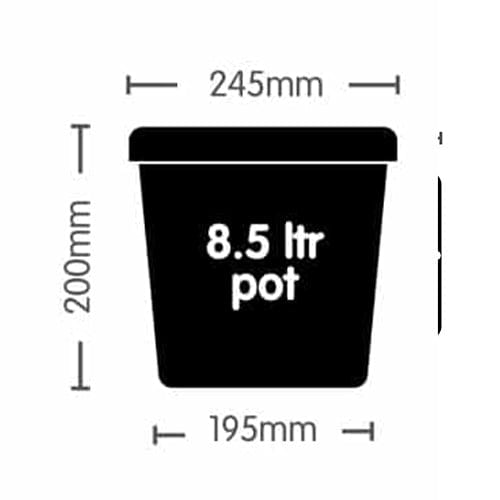 Autopot Easy2Grow - London Grow