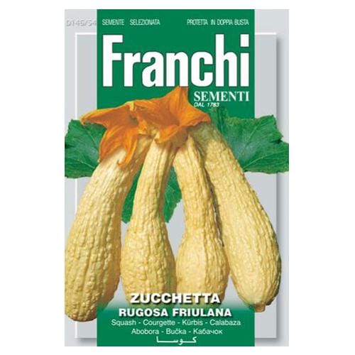 Courgette Rugosa Of Friuli - London Grow