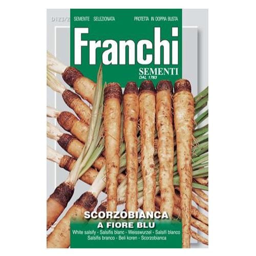 Salsify Scorzabianca - London Grow