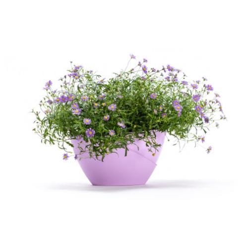 Plastia Self Watering Pot Doppio - London Grow