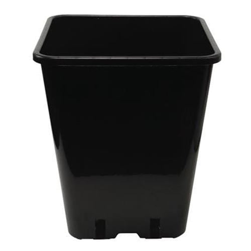 Square Plastic Pot - London Grow