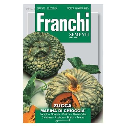 Pumpkin Marina di Chioggia - London Grow