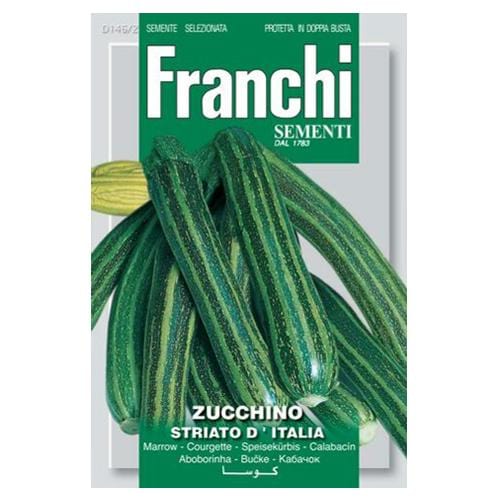 Courgette Striato D'italia - London Grow
