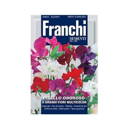 Sweet Pea - London Grow