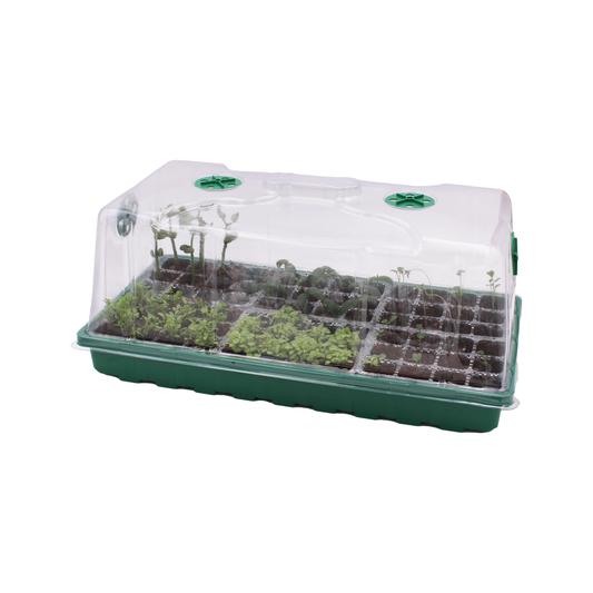 Tall Propagator