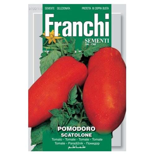 Tomato Scatolone - London Grow