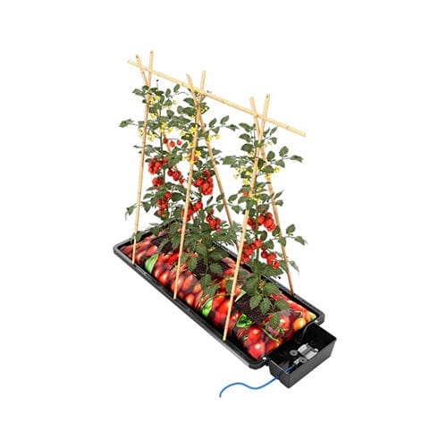 Autopot Tray2Grow - London Grow