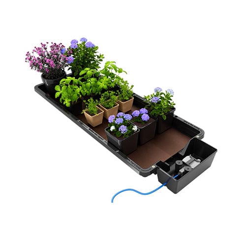 Autopot Tray2Grow - London Grow