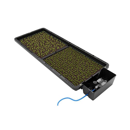 Autopot Tray2Grow - London Grow