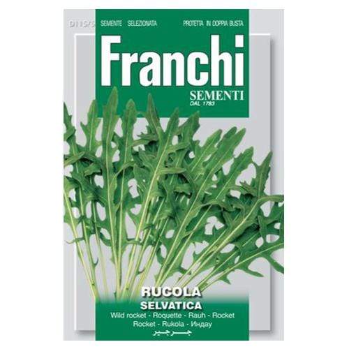 Rocket Wild - London Grow