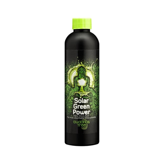 Buddha's Tree Solar Green Power - London Grow